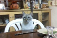 DSC00100.jpg
