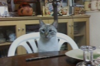 DSC00100.jpg