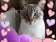 DSC00085.jpg